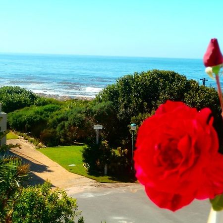 Belle Vue Guesthouse Hermanus Exterior photo