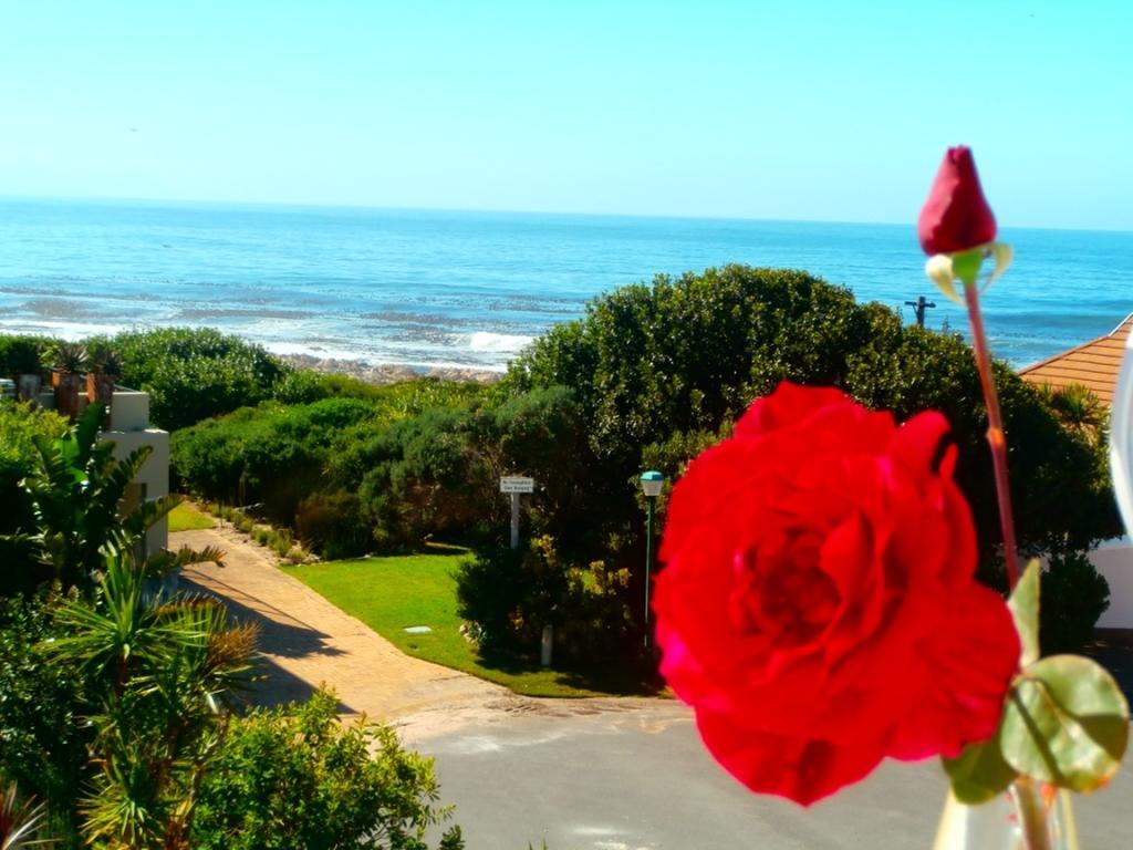 Belle Vue Guesthouse Hermanus Exterior photo